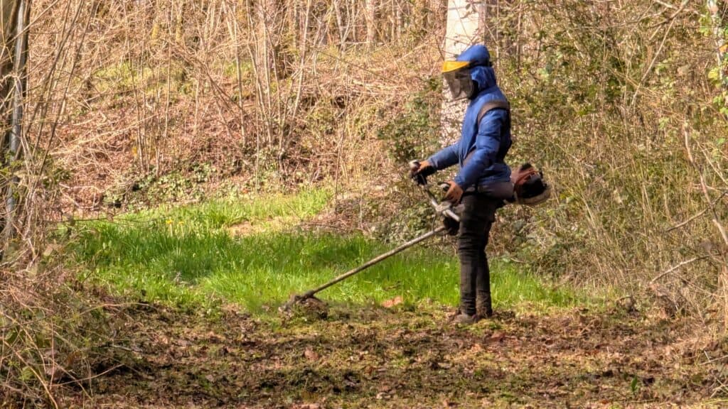 Photo de Un chantier d’envergure pour l’équipe espaces verts au moulin d’eau