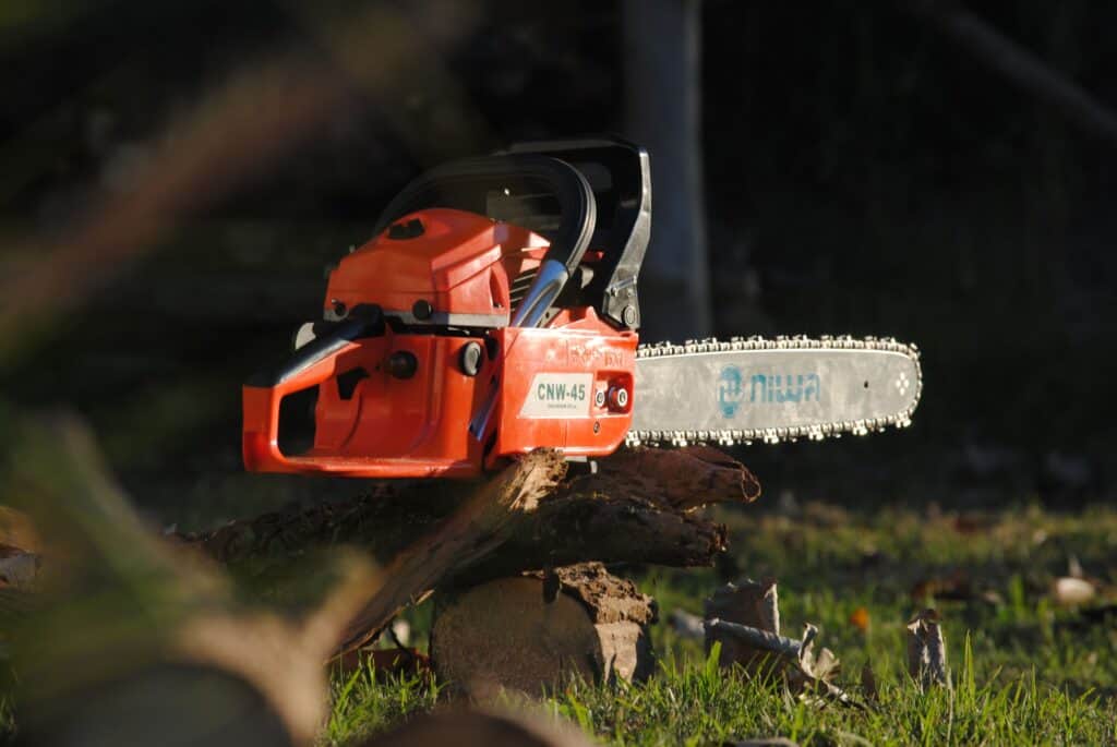 Photo de Formation tronçonneuse : de nouvelles compétences pour notre équipe des espaces verts